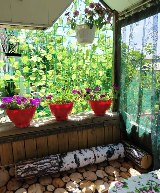 Чайная беседка