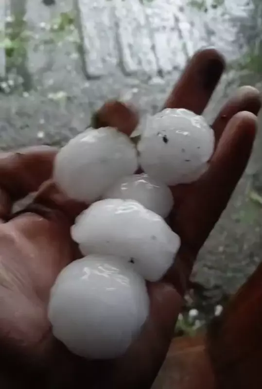 Чайная беседка