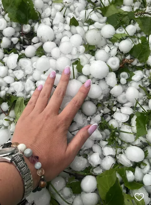 Чайная беседка