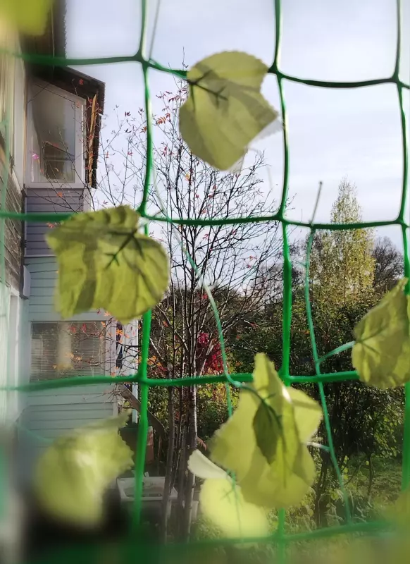Чайная беседка