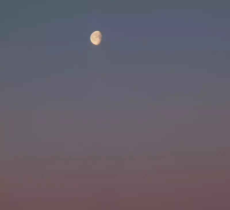 Такое разное небо