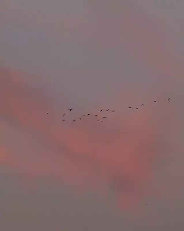 Такое разное небо