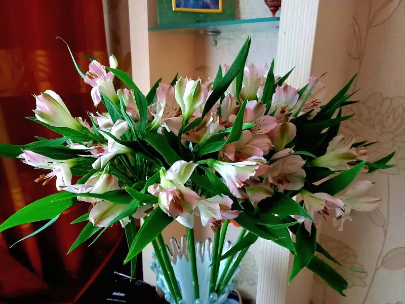 Фотонастроение