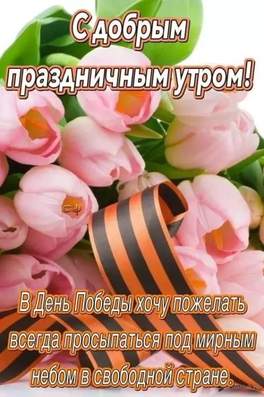 Tapтaлeтки & Ко