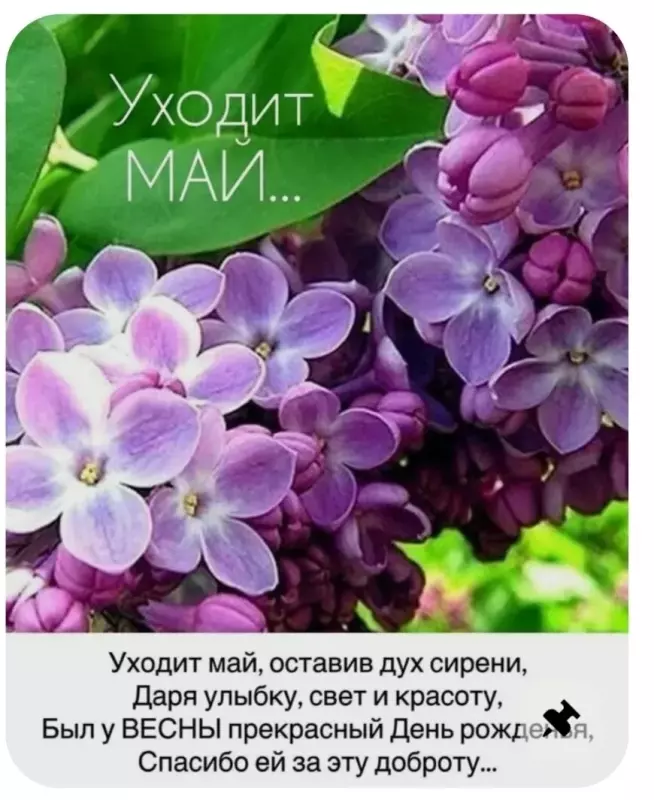 Tapтaлeтки & Ко