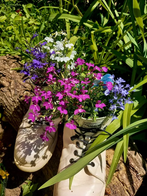 Чайная беседка