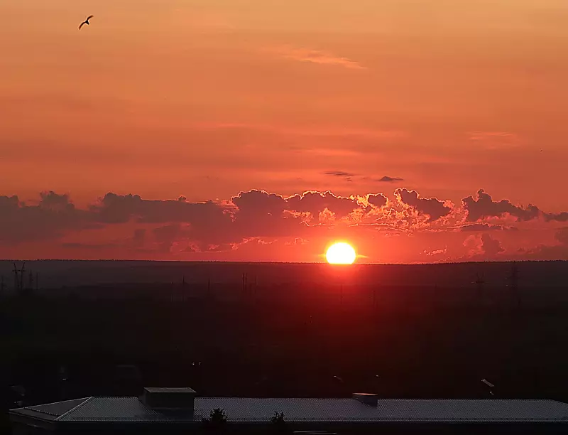 Чайная беседка