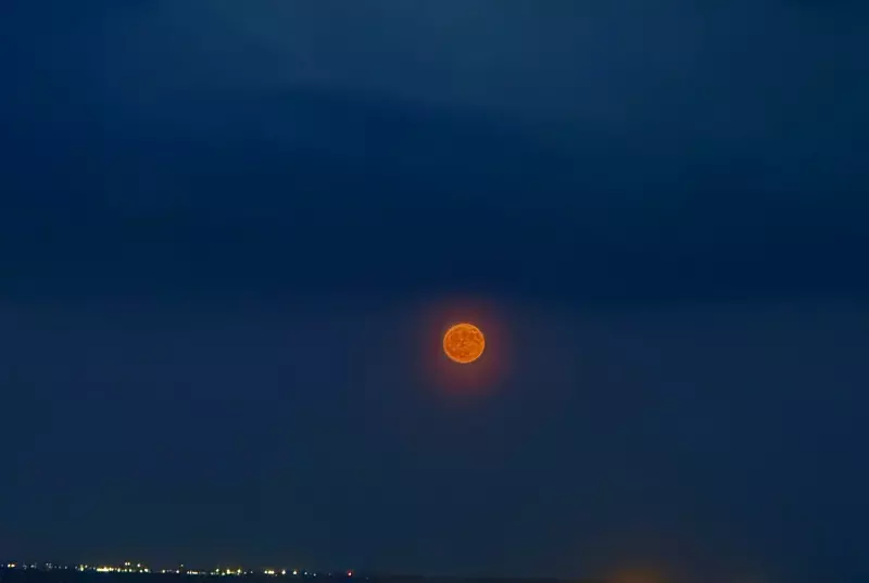 Чайная беседка