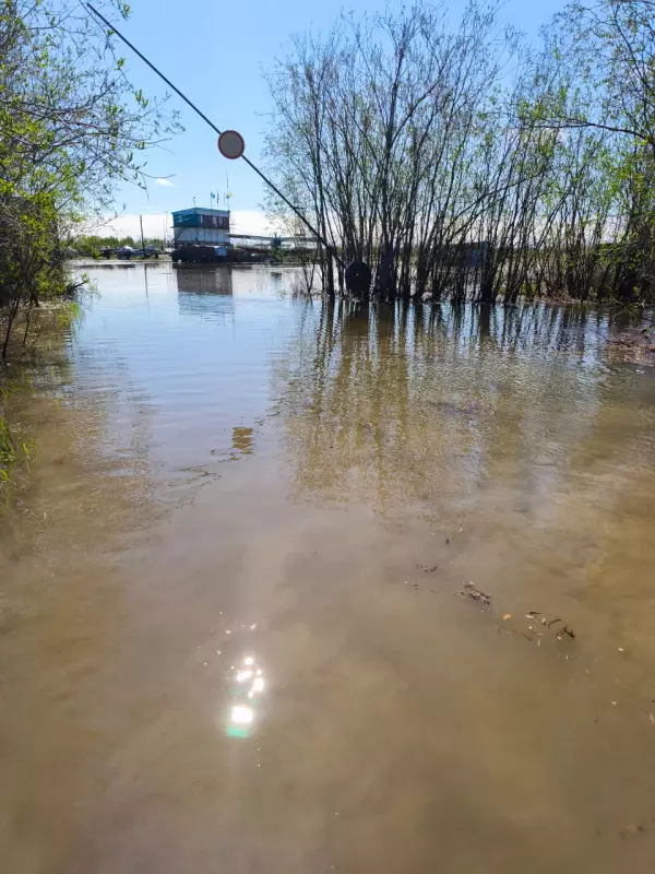 Чайная беседка