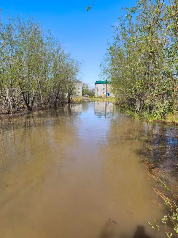 Чайная беседка