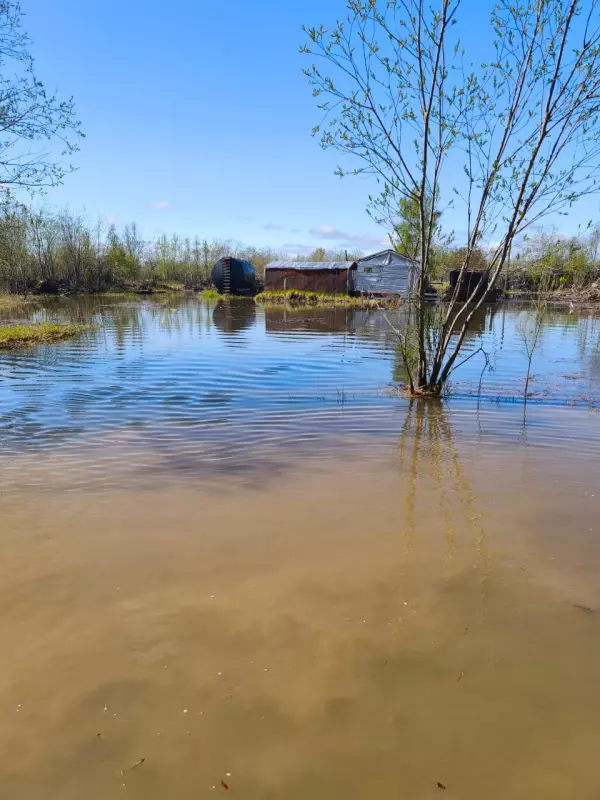 Чайная беседка