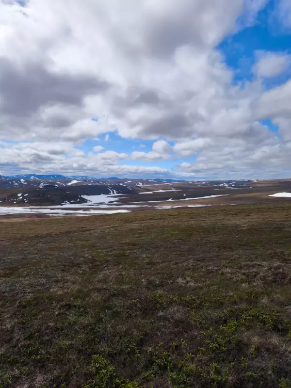 Чайная беседка