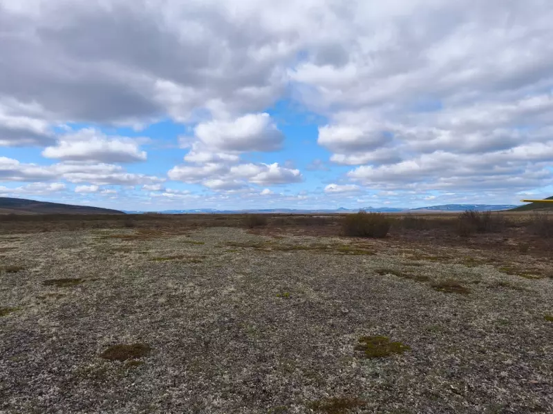 Чайная беседка