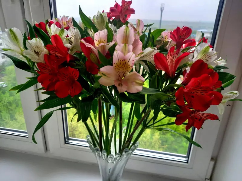 Чайная беседка