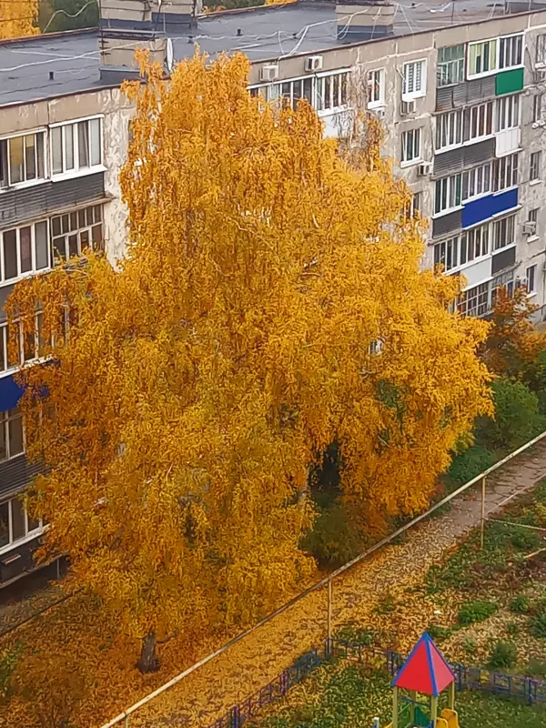Чайная беседка