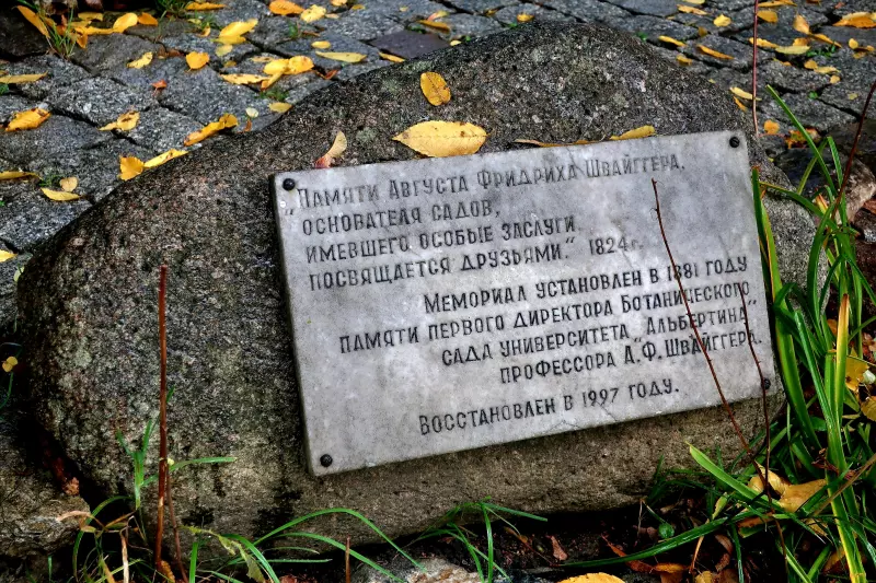 Калининград не отпускает (октябрь 2024)