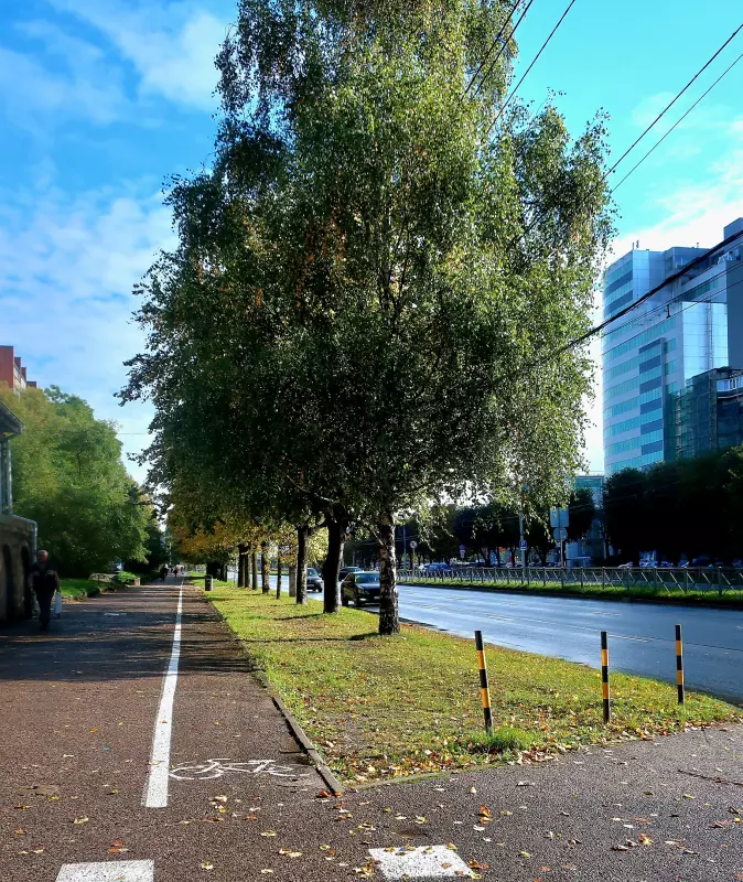Калининград не отпускает (октябрь 2024)
