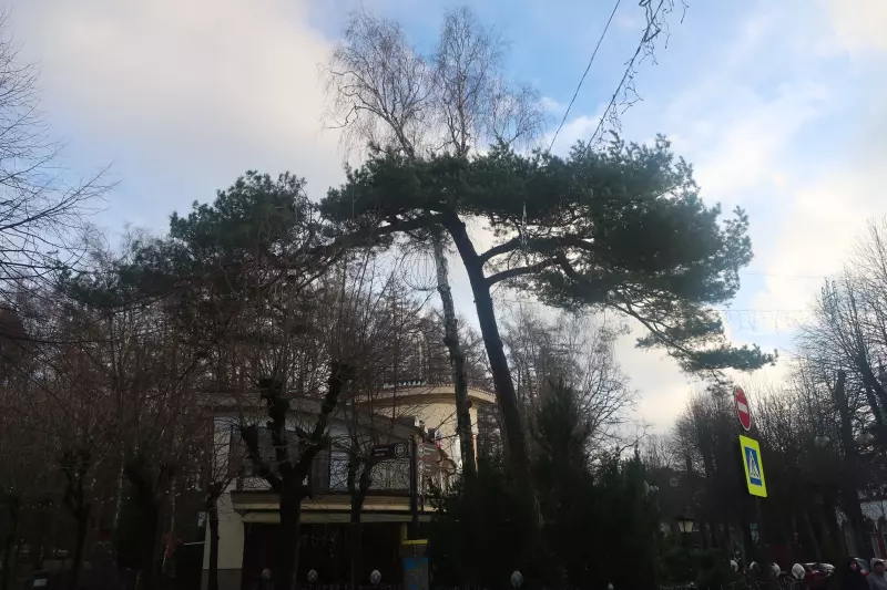 Калининград не отпускает (октябрь 2024)