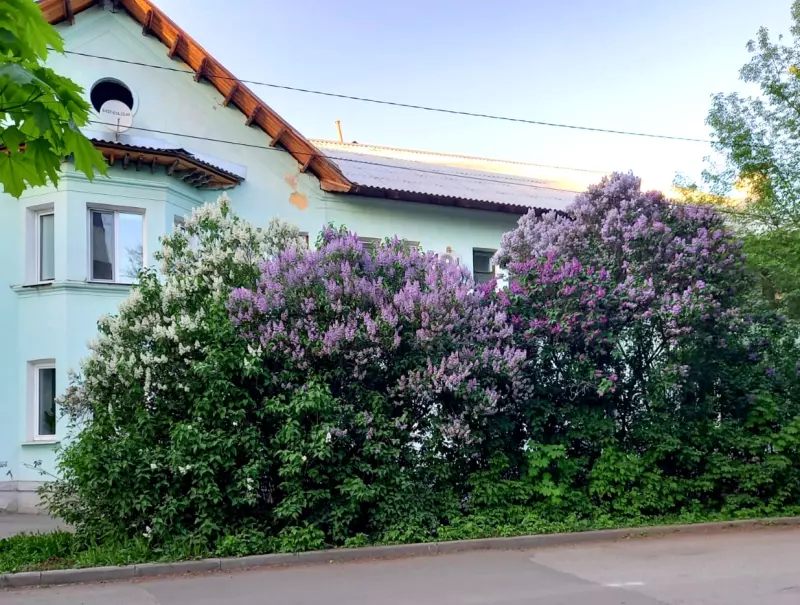 Флора