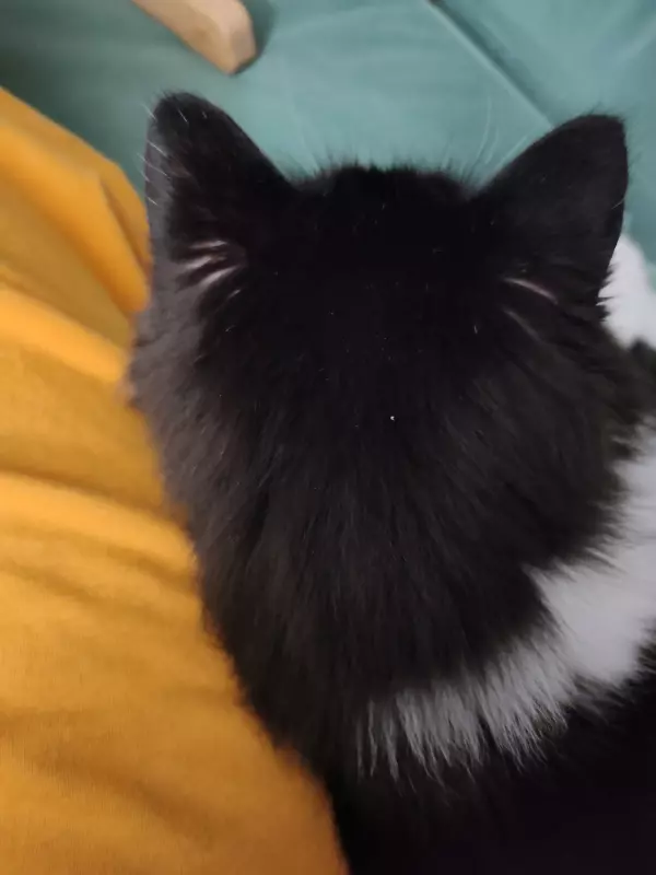 Вышивка крестиком