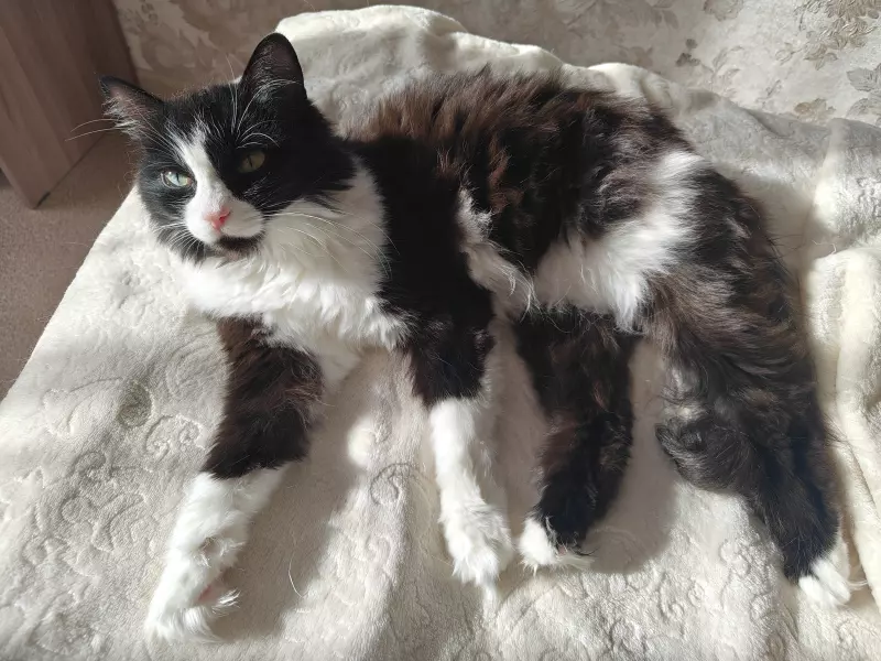 Вышивка крестиком