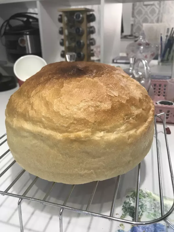 Семейство кухонной техники Ninja