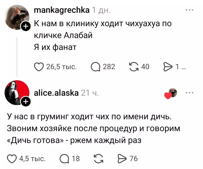 Посмеялся сам - поделись с другом!!!
