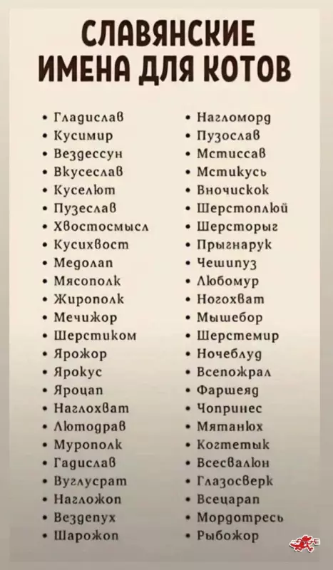 Посмеялся сам - поделись с другом!!!