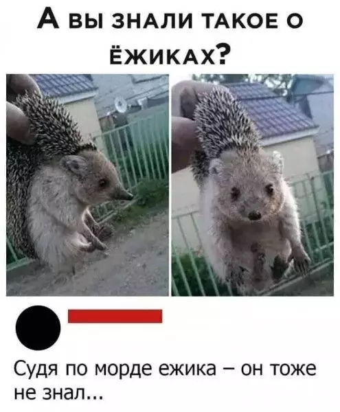 Посмеялся сам - поделись с другом!!!
