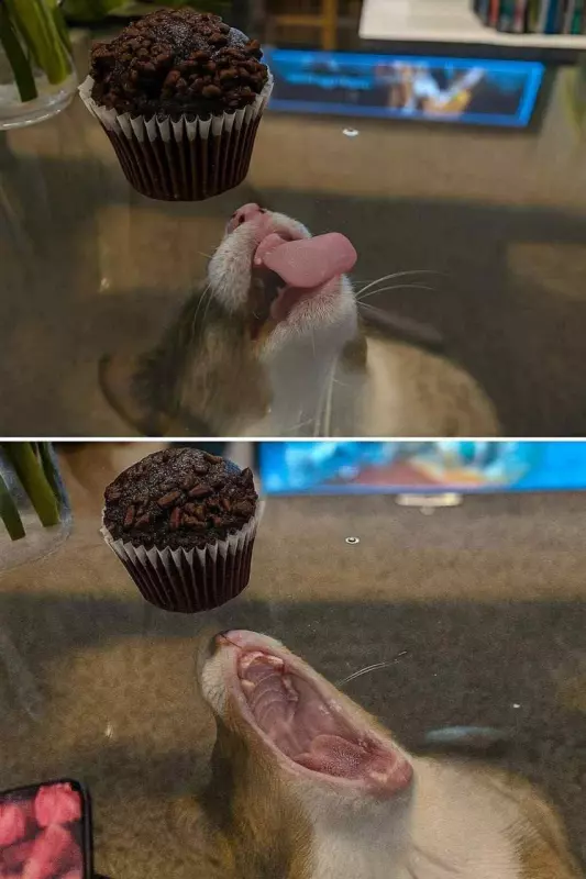 Посмеялся сам - поделись с другом!!!