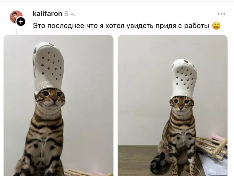 Посмеялся сам - поделись с другом!!!