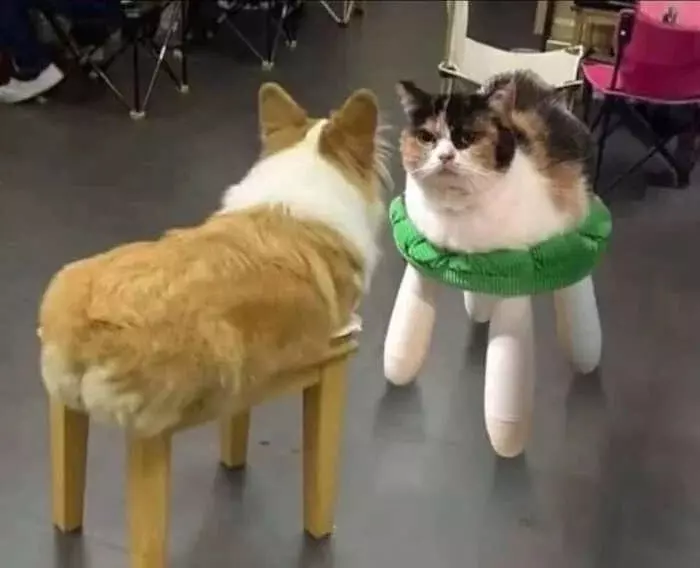 Посмеялся сам - поделись с другом!!!