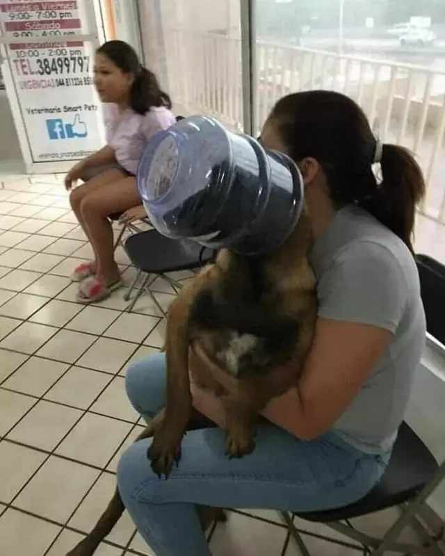 Посмеялся сам - поделись с другом!!!