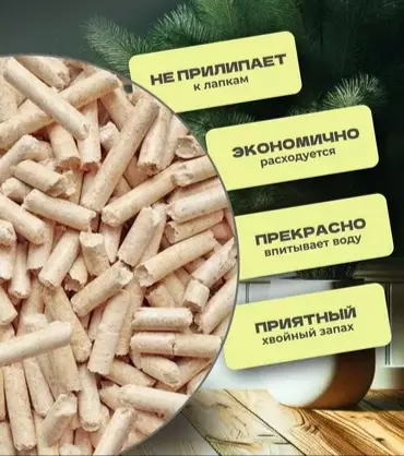 Глупые вопросы