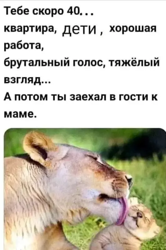 Прекрасное!