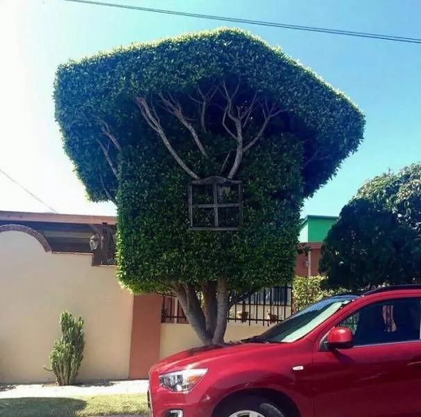 Прекрасное!