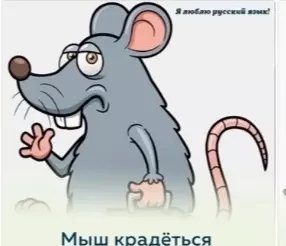 Русский язык