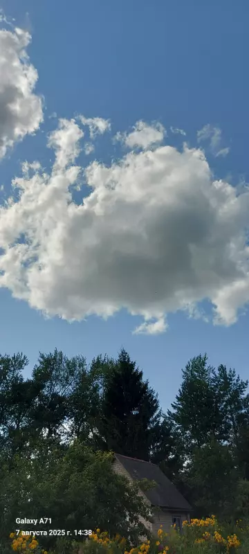 Такое разное небо