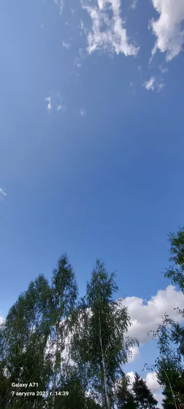 Такое разное небо