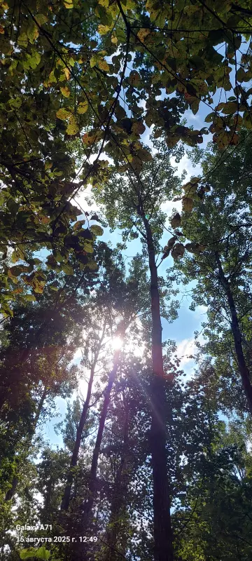 Такое разное небо