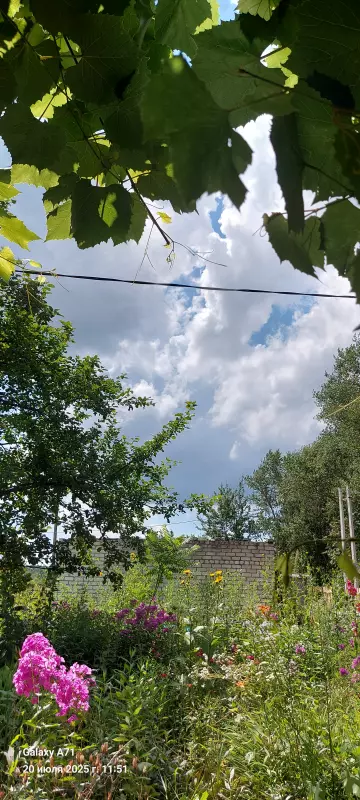 Чайная беседка