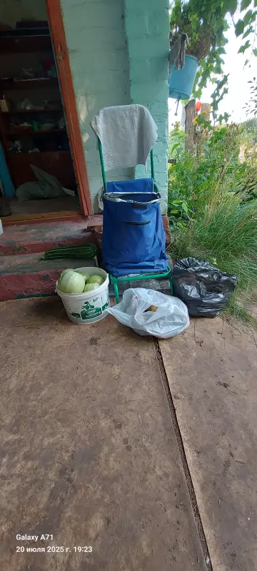 Чайная беседка