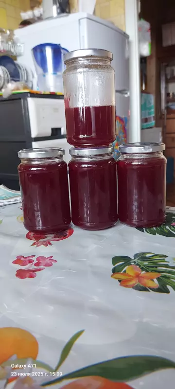 Чайная беседка