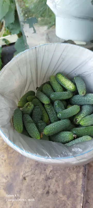 Чайная беседка