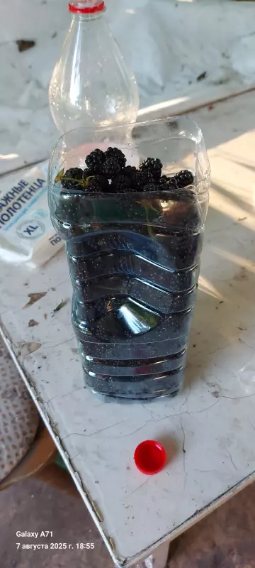 Чайная беседка