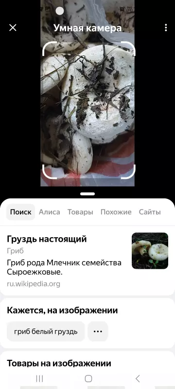 Чайная беседка
