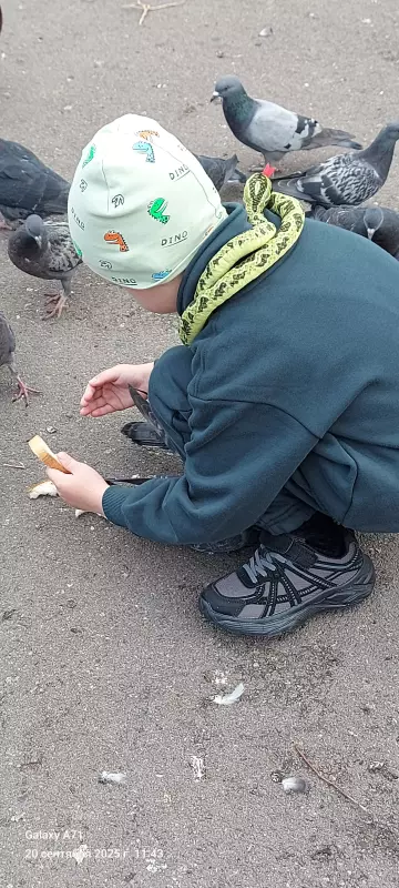 Чайная беседка