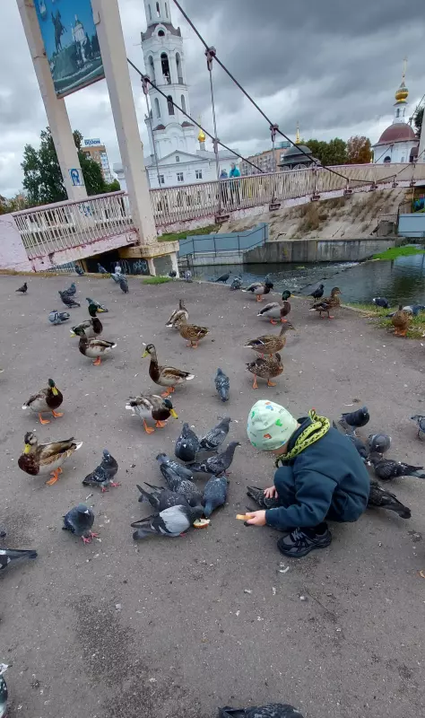 Чайная беседка