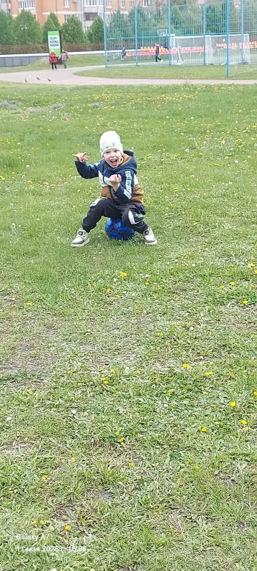 Чайная беседка