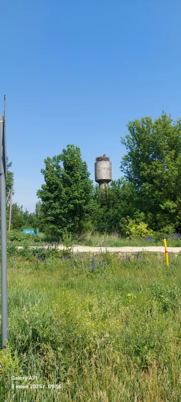 Чайная беседка